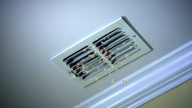 Best Air Duct Cleaning Near Me  in Tidmore Bend, AL