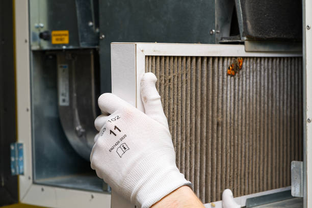 Best HVAC Air Duct Cleaning  in Tidmore Bend, AL