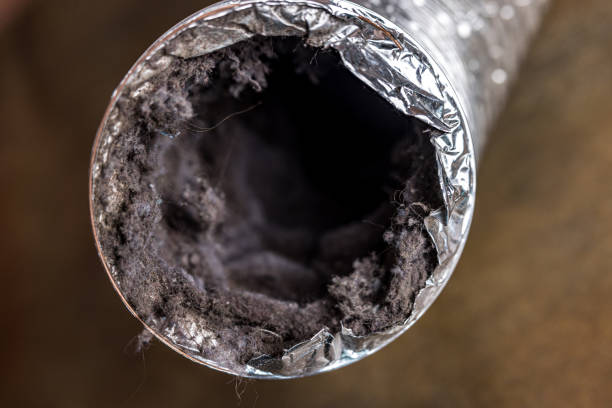 Best Local Air Duct Cleaning Services  in Tidmore Bend, AL