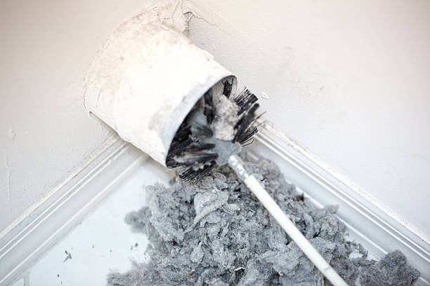 Best Affordable Air Duct Cleaning  in Tidmore Bend, AL